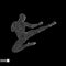 Karate and kung fu. Karate jump kick. Fighter. 3d model of man.