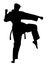 Karate man fighter in kimono, silhouette. Karate man silhouette.