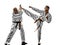 Karate men teenager student fighters fighting