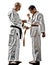 Karate men teenager students teacher teaching