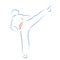 Karate moves, stylized karateka vector illustration