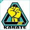 Karate power fist emblem. Martial art colored simbol design. Vector, EPS