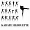 Karate silhouette move set