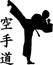 Karate silhouette with signs