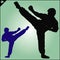 Karate. Taekwon-do. Kung-fu. High kick. Martial arts. Vector.