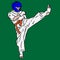 Karate or taekwondo. Fight in vector action. Kick from 3d art