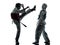 Karate taekwondo martial arts man woman couple silhouette