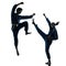 Karate vietvodao martial arts man woman couple silhouette