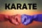 Karate. Way New Combat Fist. Martial art creative colored simbol design.