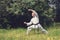 Karateka is training in a forest glade of blossoming dandelions.