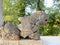 Karatepe-Aslantas Open Air Museum in Hittite stone lion sculpture