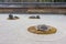 The Kare-sansui dry landscape zen garden at Ryoan-ji Temple in Kyoto, Japan. It is part of Historic