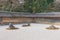 The Kare-sansui dry landscape zen garden at Ryoan-ji Temple in Kyoto, Japan. It is part of Historic