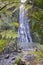 Karekare Falls through native bush of New Zealand