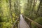 Karelia, the descent from the mountain in the forest on the wooden steps