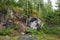 Karelian forest, summer landscape