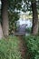 Karelian Lake in the Morning, Grass, Trees and a Boat Pier