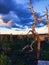 Karelian mystical magical forest of Vottovaara Russia mountain summer sunny evening and sunset sky