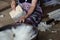 Karen woman brushing wool yarn with special brush .