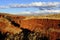 Karijini NP Pilbara Western Australia