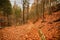 Karkonoski National Park, Szklarska Poreba, Poland