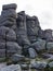 Karkonosze - Polish mountains. Mountains, trails and vegetation in the summer