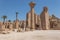The Karnak Temple Complex consists of a number of temples, chapels, and other buildings in the form of a village
