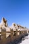 Karnak Temple Complex, Luxor, Egypt.