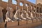 The Karnak Temple Complex and sphinx statues