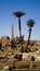 Karnak temple Egypt Luxor  landscape obelisk colum with palm trees foreground and architecture ruins