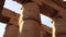 Karnak Temple Great Hypostyle Hall Zoom in on a Column