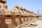 Karnak temple\'s sheep alley