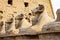 Karnak Temple sphinxes alley. Ram headed sculptures in front of Karnak Temple in Luxor