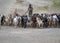 Karo tribe, Omo Valley, Ethiopia, October 2018 Unidentified men from Karo tribe herding goats in sunrise