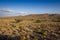 Karoo semi desert landscape South Africa