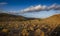 Karoo semi desert landscape South Africa