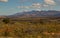 Karoo winter landscape with aloes