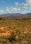 Karoo winter landscape with aloes