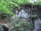 Karst Bridge Nature Reserve. Landscapes of beech forests on the slopes of the Transcarpathian mountains of Tyachiv region.