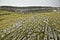 The karst landscape near Dun Aengus on Inis MÃ³r Island, IRELAND