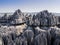 Karst limestone formations in Tsingy de Bemaraha National Park, Madagascar