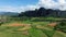 Karst peaks in the mountains amidst the tropical jungle