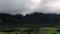 Karst peaks in the mountains amidst the tropical jungle