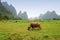 Karst scenery in Guangxi province, China