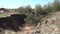 A karst sinkhole formed on the territory of village gardens.