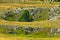 Karst sinkholes, detail from Pester plateau landscape