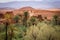 A Kasbah in the Oasis. Skoura. Morocco.