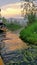 Kashmir dal lake boating channel