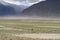 Kashmir goats in beautiful India landscape with snow peaks background