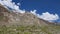 Kashmir horse in beautiful Zanskar landscape with snow peaks background,North India